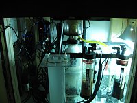 Click image for larger version

Name:	IMG_0955.jpg
Views:	273
Size:	123.2 KB
ID:	4863