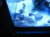 Click image for larger version

Name:	IMG_0951.jpg
Views:	266
Size:	146.7 KB
ID:	4864