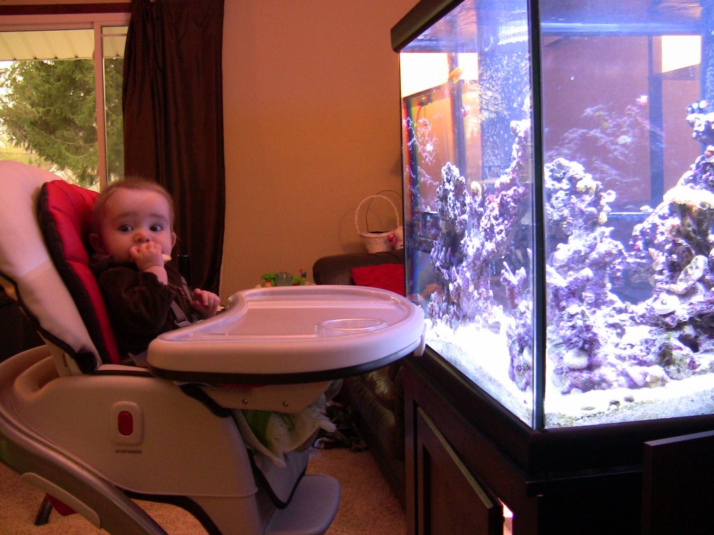 Name:  IMG_0999.jpg
Views: 343
Size:  143.2 KB