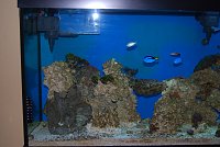 Click image for larger version

Name:	DSC_0305.jpg
Views:	3168
Size:	125.4 KB
ID:	5068