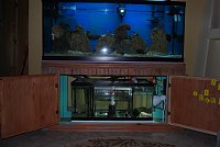 Click image for larger version

Name:	DSC_0305.jpg
Views:	1222
Size:	101.4 KB
ID:	5073
