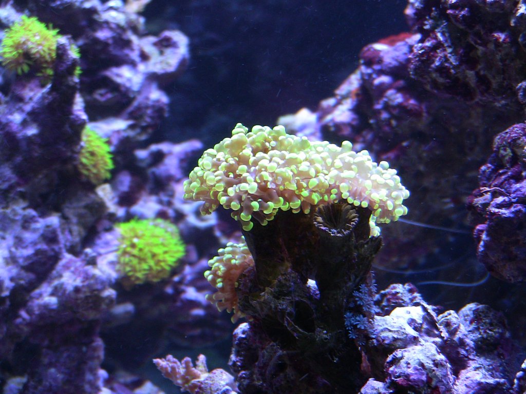 Name:  IMG_1005.jpg
Views: 467
Size:  152.7 KB