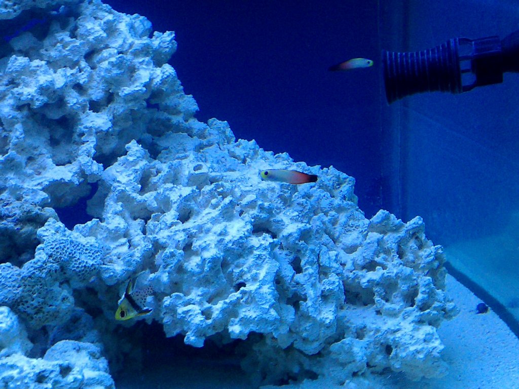 Name:  IMAG0122.jpg
Views: 628
Size:  176.7 KB
