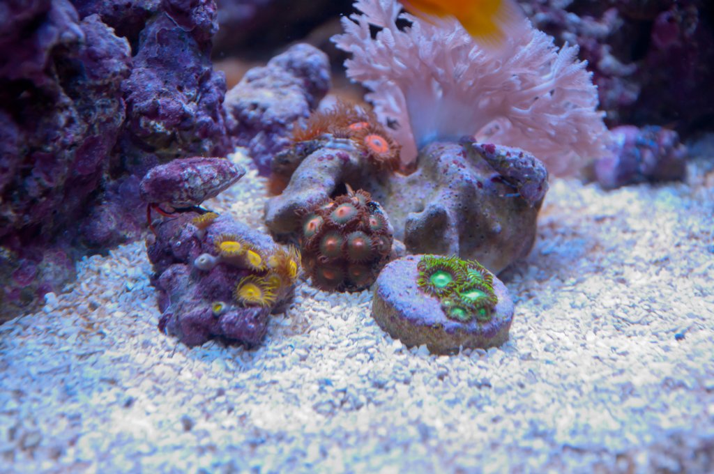Name:  20110518-DSC_0466.jpg
Views: 292
Size:  139.7 KB