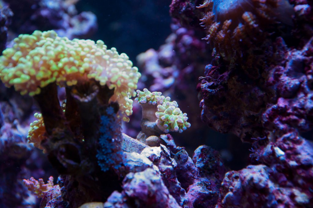 Name:  20110518-DSC_0462.jpg
Views: 296
Size:  117.9 KB