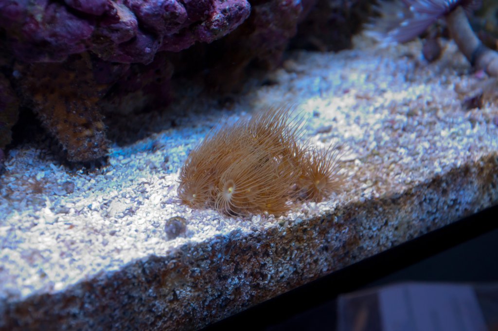 Name:  20110518-DSC_0463.jpg
Views: 340
Size:  121.8 KB