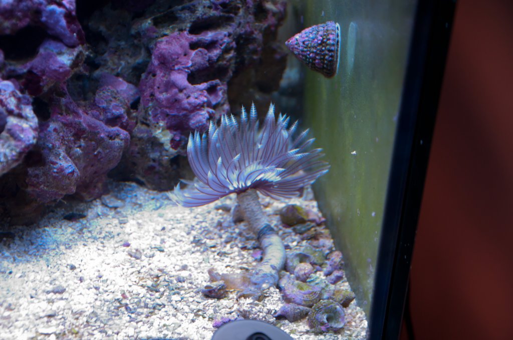 Name:  20110518-DSC_0465.jpg
Views: 298
Size:  119.6 KB