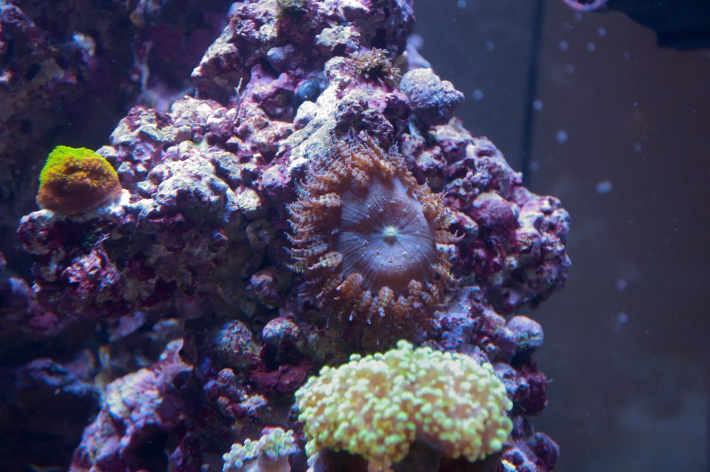 Name:  20110518-DSC_0460.jpg
Views: 306
Size:  129.4 KB