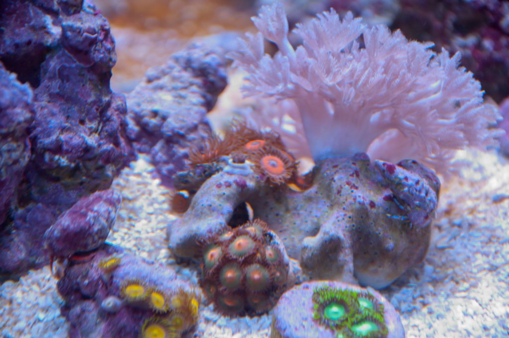 Name:  20110518-DSC_0468.jpg
Views: 287
Size:  125.8 KB