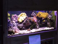 Click image for larger version

Name:	reeftour005.jpg
Views:	929
Size:	93.8 KB
ID:	514
