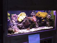 Click image for larger version

Name:	reeftour005.jpg
Views:	230
Size:	93.8 KB
ID:	514