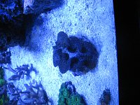 Click image for larger version

Name:	IMG_1107.jpg
Views:	176
Size:	162.5 KB
ID:	5200