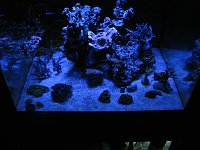 Click image for larger version

Name:	IMG_1106.jpg
Views:	209
Size:	140.9 KB
ID:	5203