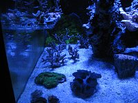 Click image for larger version

Name:	IMG_1112.jpg
Views:	183
Size:	169.1 KB
ID:	5204