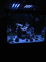 Click image for larger version

Name:	IMG_1103.jpg
Views:	195
Size:	104.9 KB
ID:	5205
