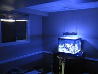 Click image for larger version

Name:	IMG_1105.jpg
Views:	199
Size:	126.1 KB
ID:	5208