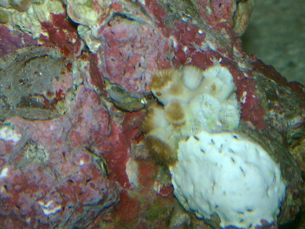 Name:  IMAG0147.jpg
Views: 883
Size:  151.3 KB