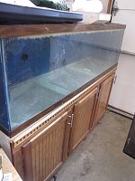 Click image for larger version

Name:	longTank.jpg
Views:	239
Size:	209.7 KB
ID:	5415