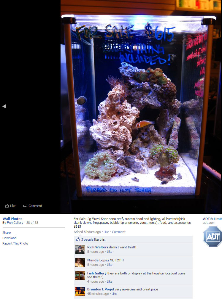 Name:  2g_sale.jpg
Views: 2151
Size:  163.0 KB