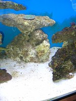 Click image for larger version

Name:	IMG_2933.jpg
Views:	541
Size:	145.4 KB
ID:	5472