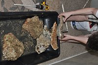 Click image for larger version

Name:	DSC_0325.jpg
Views:	593
Size:	153.8 KB
ID:	5484