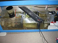 Click image for larger version

Name:	IMG_3127.jpg
Views:	587
Size:	159.9 KB
ID:	5501