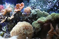 Click image for larger version

Name:	IMG_6039 (Medium).jpg
Views:	422
Size:	206.3 KB
ID:	5556
