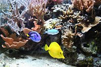 Click image for larger version

Name:	IMG_6038 (Medium).jpg
Views:	403
Size:	177.7 KB
ID:	5557