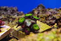 Click image for larger version

Name:	DSC_0053.jpg
Views:	602
Size:	96.8 KB
ID:	5563