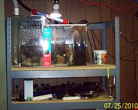 Click image for larger version

Name:	old sump.jpg
Views:	329
Size:	177.0 KB
ID:	5732