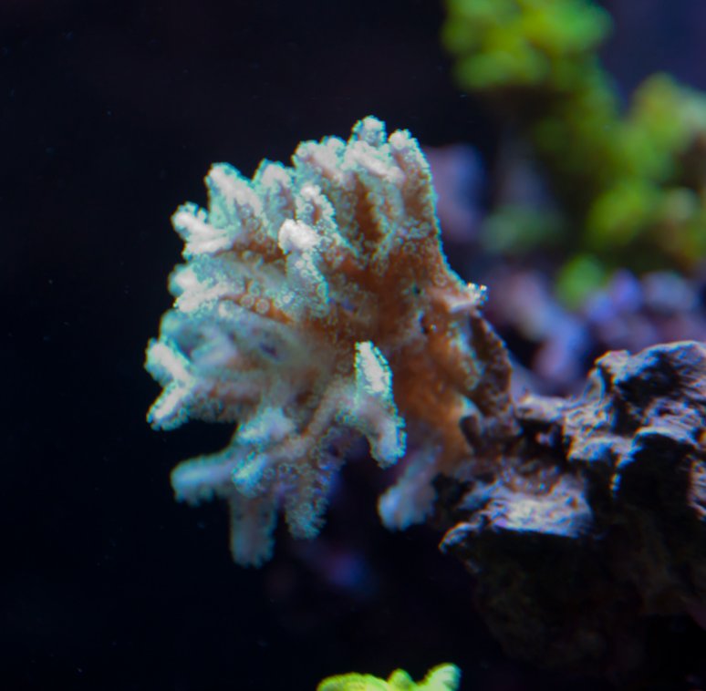 Name:  20110720-DSC_0232.jpg
Views: 263
Size:  57.7 KB