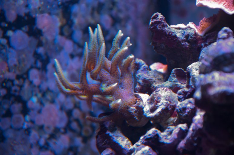 Name:  20110720-DSC_0239.jpg
Views: 261
Size:  69.7 KB