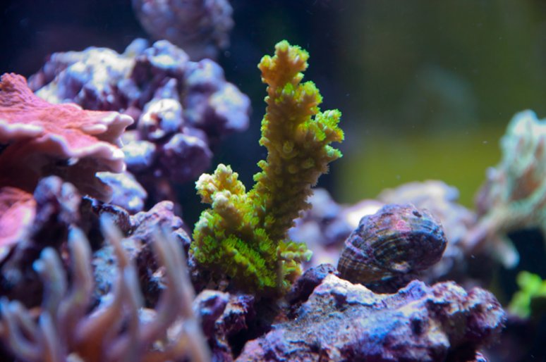 Name:  20110720-DSC_0202.jpg
Views: 276
Size:  67.7 KB