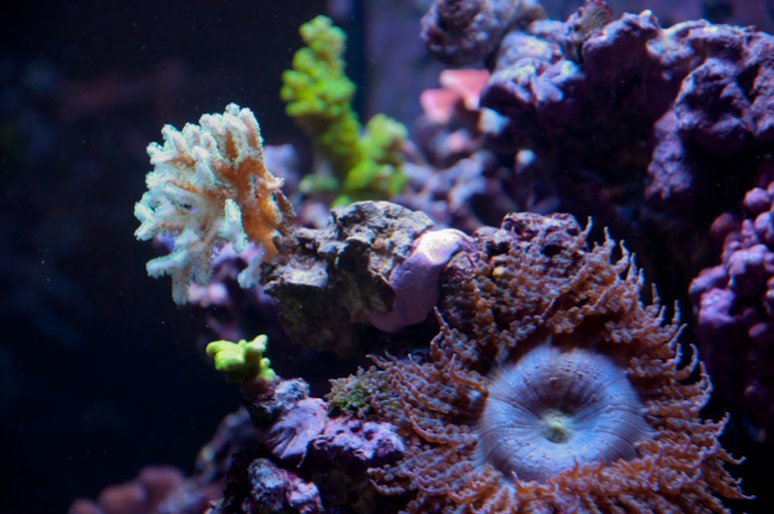 Name:  20110720-DSC_0234.jpg
Views: 270
Size:  76.7 KB