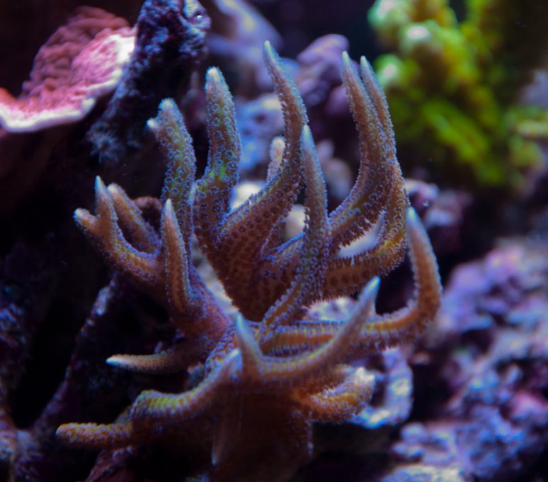 Name:  20110720-DSC_0201.jpg
Views: 248
Size:  80.1 KB