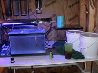 Click image for larger version

Name:	LarvalTable.jpg
Views:	828
Size:	68.2 KB
ID:	600