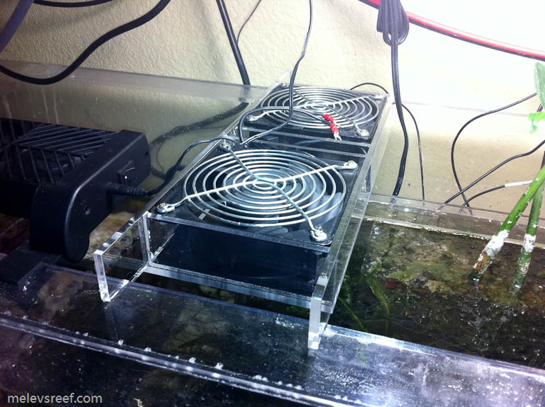 Name:  fantray_on_sump.jpg
Views: 593
Size:  142.4 KB