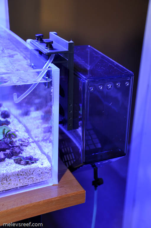 Name:  acclimate_lmb-3.jpg
Views: 586
Size:  93.1 KB