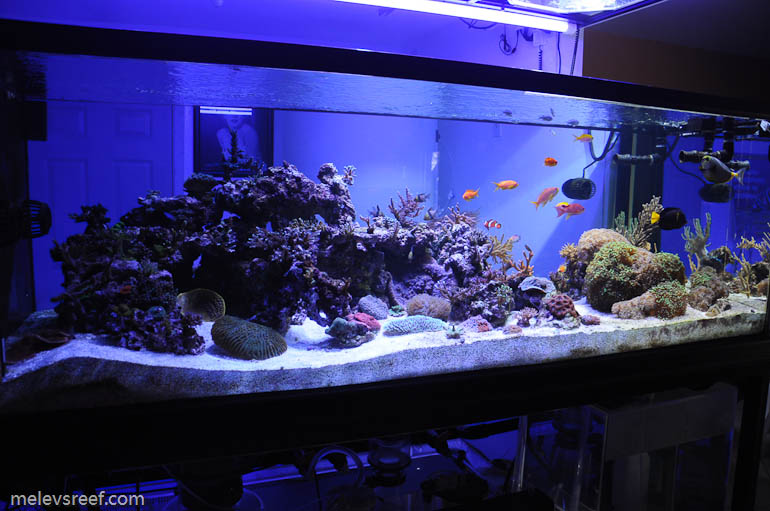 Name:  fts-92911.jpg
Views: 1781
Size:  121.8 KB