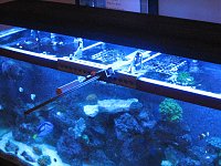 Click image for larger version

Name:	IMG_1476.jpg
Views:	2115
Size:	182.1 KB
ID:	619