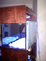 Click image for larger version

Name:	101_3576.jpg
Views:	772
Size:	121.5 KB
ID:	6248