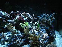 Click image for larger version

Name:	IMG_1309.jpg
Views:	628
Size:	188.2 KB
ID:	6250