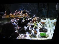 Click image for larger version

Name:	IMG_1514.jpg
Views:	821
Size:	146.2 KB
ID:	6612