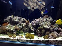 Click image for larger version

Name:	tank1.jpg
Views:	1005
Size:	174.6 KB
ID:	6627