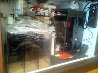 Click image for larger version

Name:	IMG_1551.jpg
Views:	1183
Size:	158.4 KB
ID:	6670