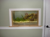 Click image for larger version

Name:	DSC01573#2.jpg
Views:	809
Size:	72.7 KB
ID:	669