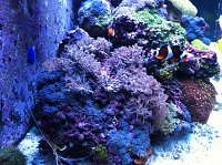 Click image for larger version

Name:	photo (2).JPG
Views:	610
Size:	130.5 KB
ID:	6739