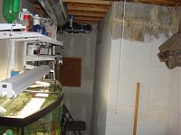 Click image for larger version

Name:	Tight fish room.jpg
Views:	758
Size:	85.6 KB
ID:	674