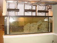 Click image for larger version

Name:	Tank Lighting.jpg
Views:	734
Size:	112.0 KB
ID:	676