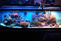 Click image for larger version

Name:	01.22.2012. 015.jpg
Views:	3323
Size:	132.8 KB
ID:	6800